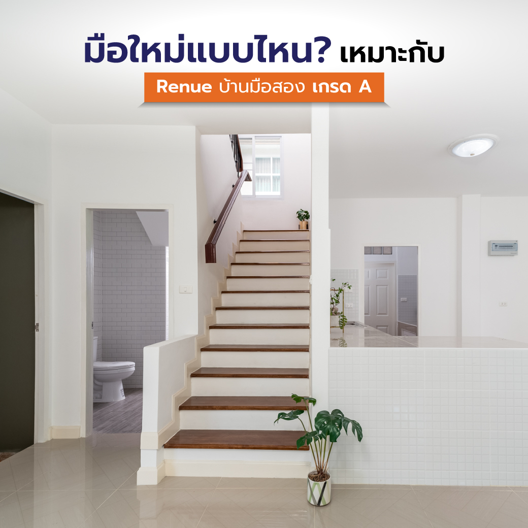 มือใหม่แบบไหน เหมาะกับ Renue บ้านมือสองเกรด A